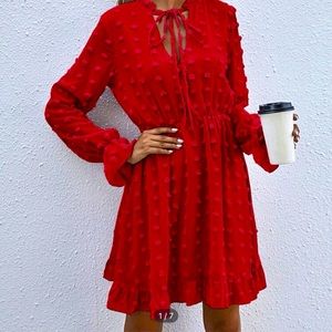 Swiss Dot Tie Neck A-Line Red Dress